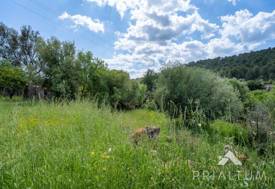 Terreno en Bunyola — fotografía 1