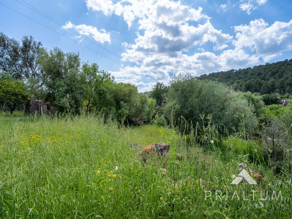 Terreno en Bunyola — fotografía 1