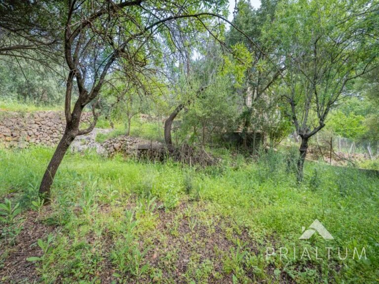 Terreno en Bunyola — fotografía 5