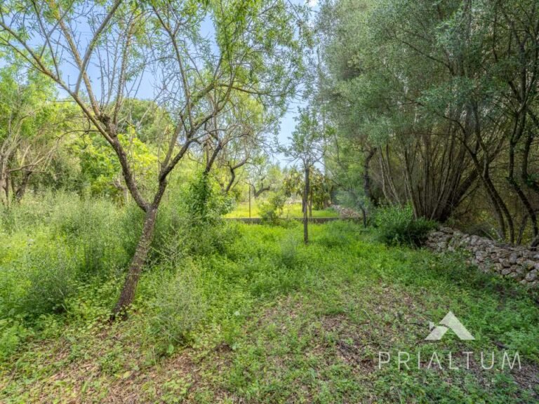 Terreno en Bunyola — fotografía 4